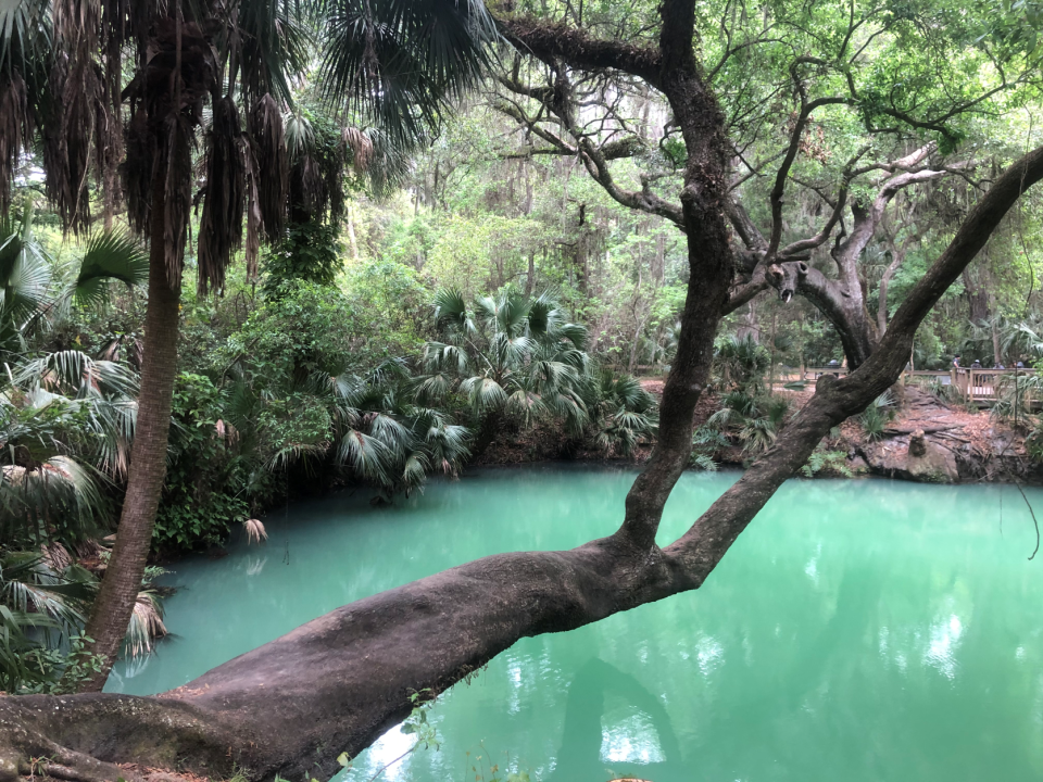 Green Springs Park in DeBary