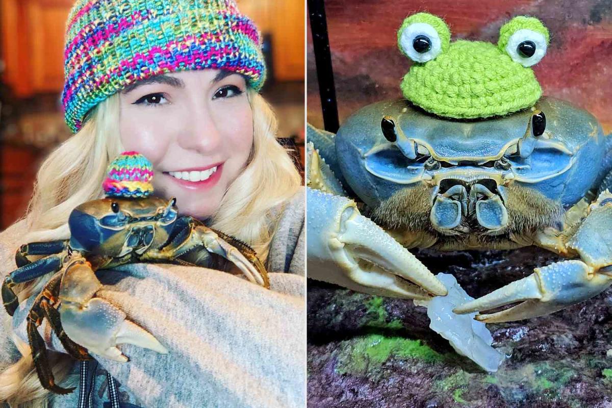 Crab Goes Viral for Surprising Behavior — She Eats Caviar, Wears Hats and Uses Sign Language (Exclusive)