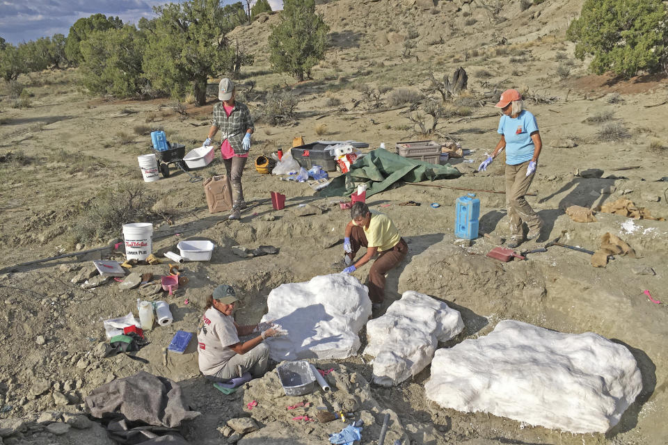 In this photo provided by the Bureau of Land Management, researchers prepare fossils to be airlifted from the Rainbows and Unicorns Quarry on Grand Staircase-Escalante National Monument to the Paria River District paleontology lab in Kanab, Utah, on Sept. 4, 2018. Ferocious tyrannosaur dinosaurs may not have been solitary predators as long envisioned, but more like social carnivores such as wolves, new research unveiled Monday, April 19, 2021, found. (Dr. Alan Titus/Bureau of Land Management via AP)