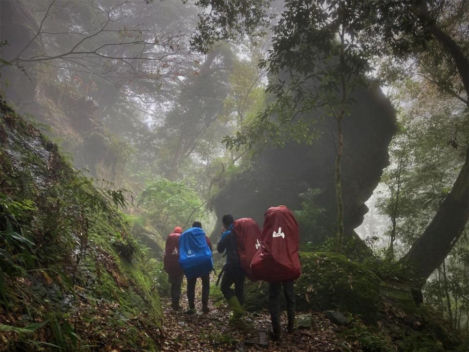 特遣隊員重裝深入山林，為防山老鼠覬覦，藉由定期巡視，降低珍貴檜木被害風險。（新竹林區管理處提供）