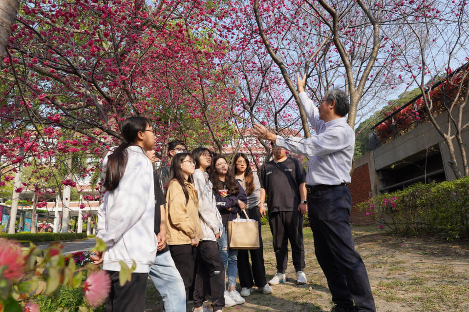 校園即教室，大葉大學觀光系林擎天主任(右一)教室搬到櫻花樹下