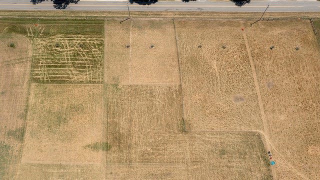 A field that is part of a University of Arkansas study on overgrazing is seen in this photo.