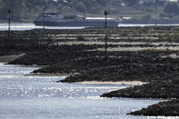 A transport vessel drives on the river Rhine in Dormagen, Germany, Friday, Aug. 12, 2022. The persistent drought makes the level of the Rhine fall further and further, navigation is only possible to a limited extent. The river levels continue to fall and bring a burden on shipping and nature. (Federico Gambarini/dpa via AP)