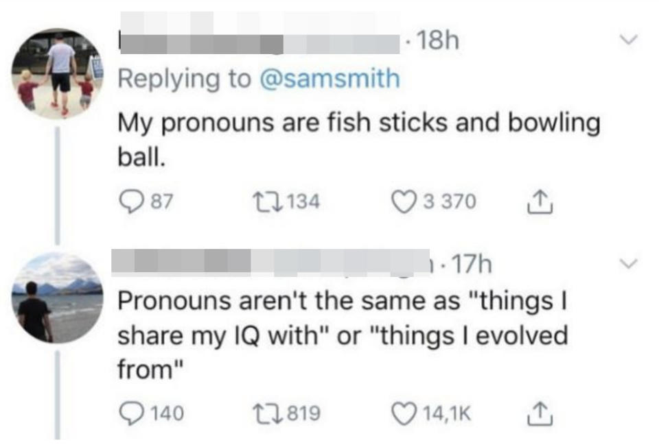 "My pronouns are fish sticks and bowling ball."