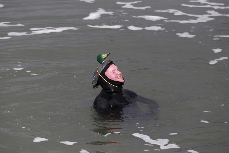 A man with a plastic duck strapped to his head swims in the sea