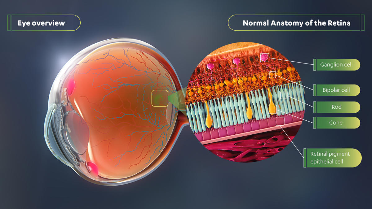 Janssen Announces Late-Breaking Data from Two Gene Therapy Programs at the American Academy of Ophthalmology 2022 Annual Meeting