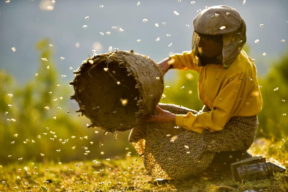 A scene from the Macedonian film "Honeyland" directed by Tamara Kotevska and Ljubo Stefanov.