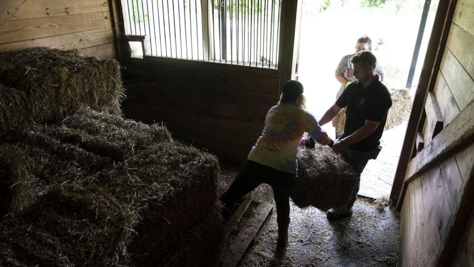 Susan Welch, left, and Kyle Arestivo help move bales of hay during a clean up event for Trails of Purpose, May 20, 2023 , in Chesapeake, Va., ahead of the opening of their new location in Virginia Beach, Va. (Billy Schuerman/The Virginian-Pilot via AP)