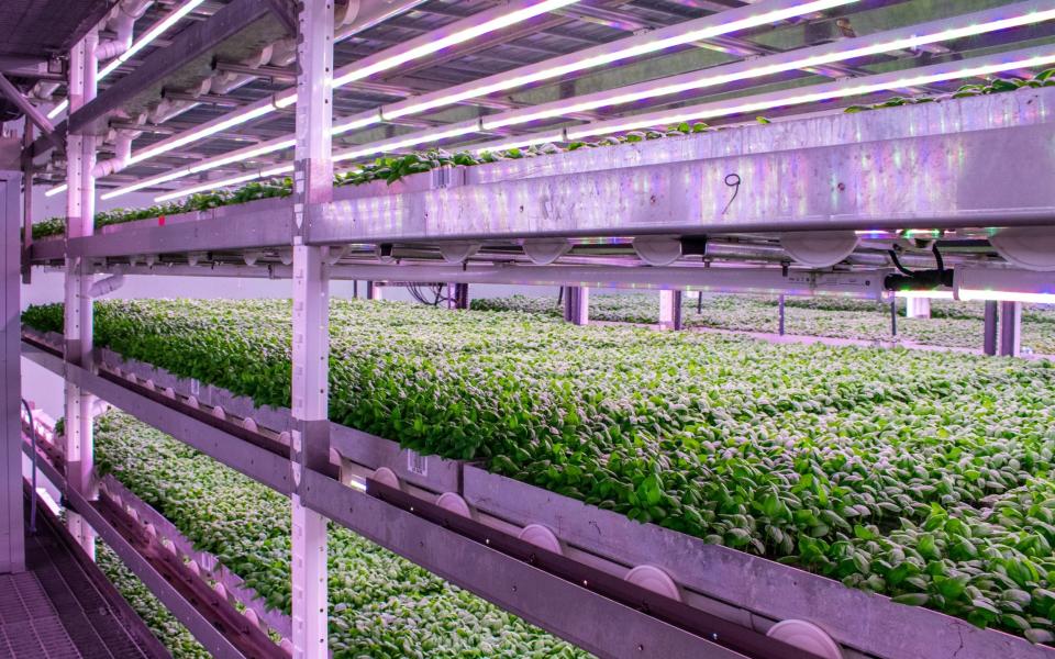 Vertical farming