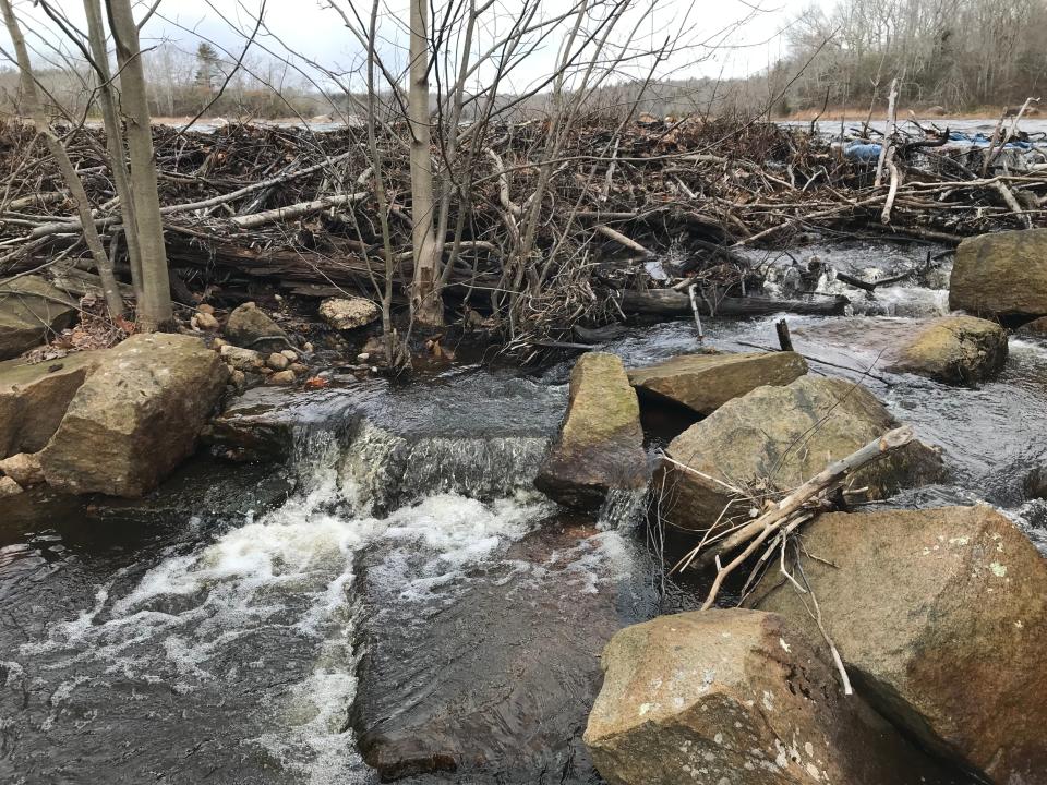 Water tumbles over rocks and cut granite blocks, once part of a 14-foot-high dam, before flowing downstream to Canonchet Brook.