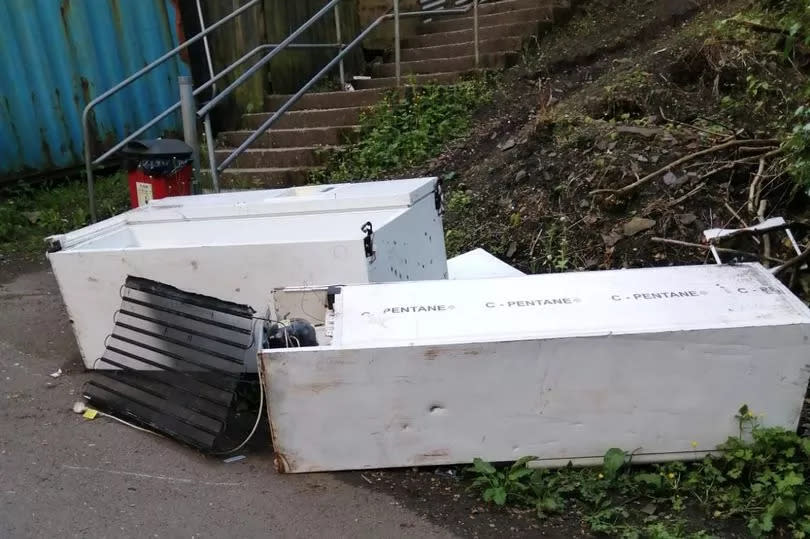 Flytipping at Eaglesbush is also been a huge problem, residents say