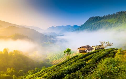 Escape to the remote hills of Thailand for hiking through jungle and paddy fields - Credit: GETTY