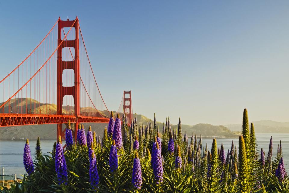 Scope Out the Best Views in San Francisco