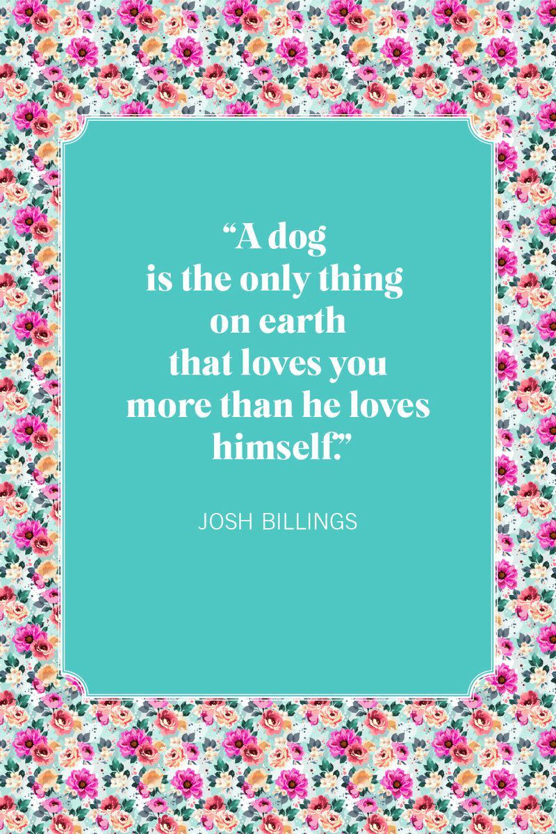 dog mom quotes josh billings