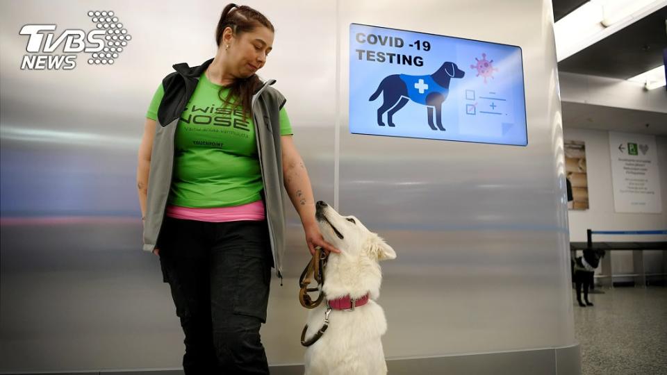 芬蘭赫爾辛基-萬塔機場採用４隻嗅探犬協助檢疫。（圖／達志影像路透社）