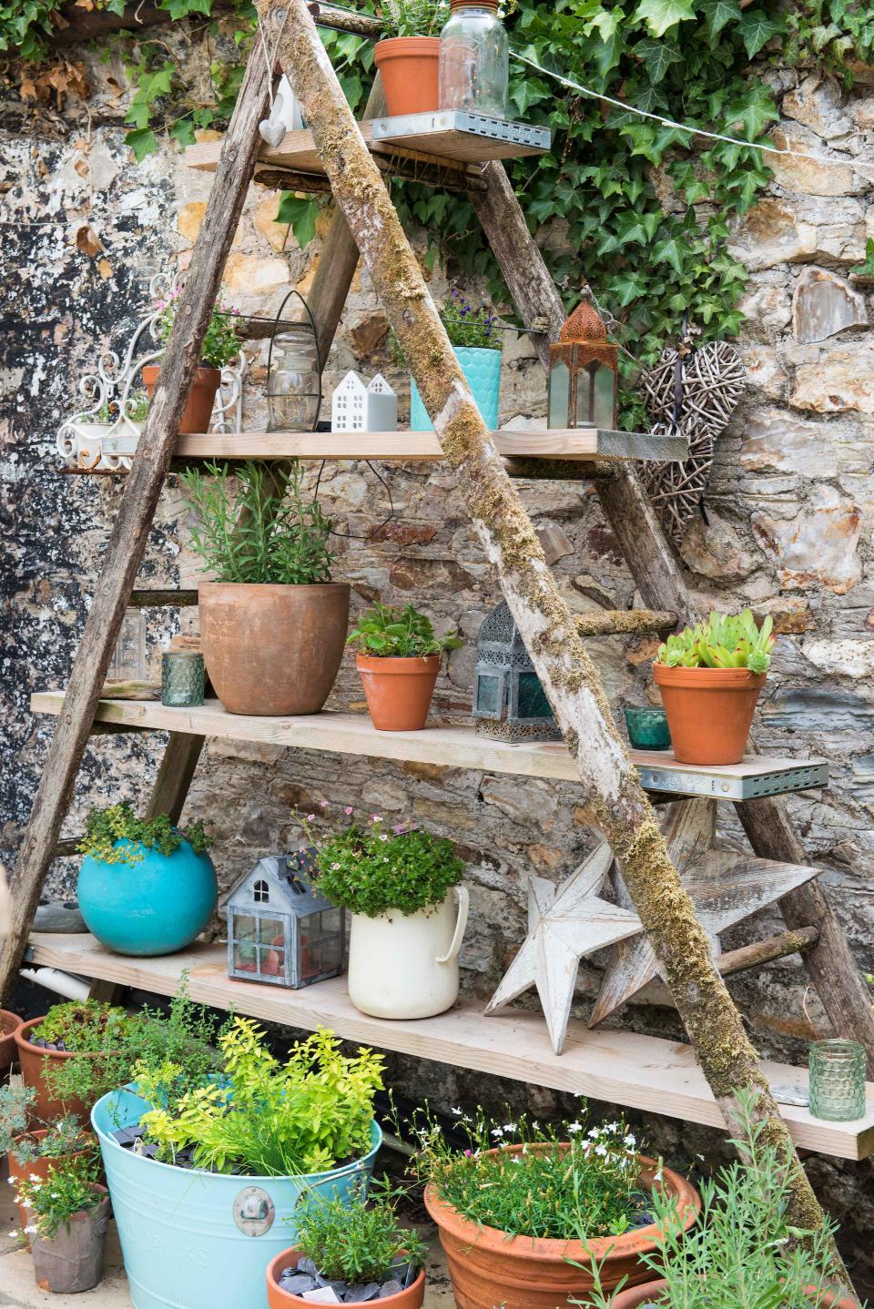 Create a potted plant display on shelves