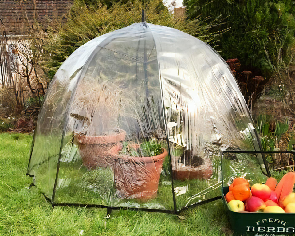 <p> If you&apos;re looking for DIY mini greenhouses with a difference, then this might get your vote. Not just for keeping us dry, clear umbrellas can be super helpful for our plants too. With their taut clear plastic stretched over a rigid frame they will keep in warmth, repel rain and create the perfect conditions for growing plants under.&#xA0; </p> <p> They&#x2019;re also a great shape for accommodating circular pots &#x2013; group several smaller garden planters together and pop the brolly over the top. You may wish to secure the umbrella in some way, to stop it lifting off and blowing away. Try tying the handle to a brick or, even easier, just push it into the soil if the pot is large and deep enough. </p>