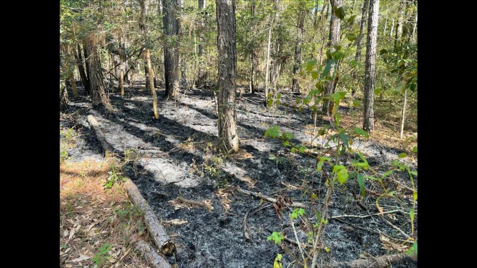 Park Rangers at Fort Raleigh National Historic Site say the fires were discovered Sunday, April 14, at a part of the site dedicated to a “Freedmen’s Colony” on Roanoke Island. National Park Service photo