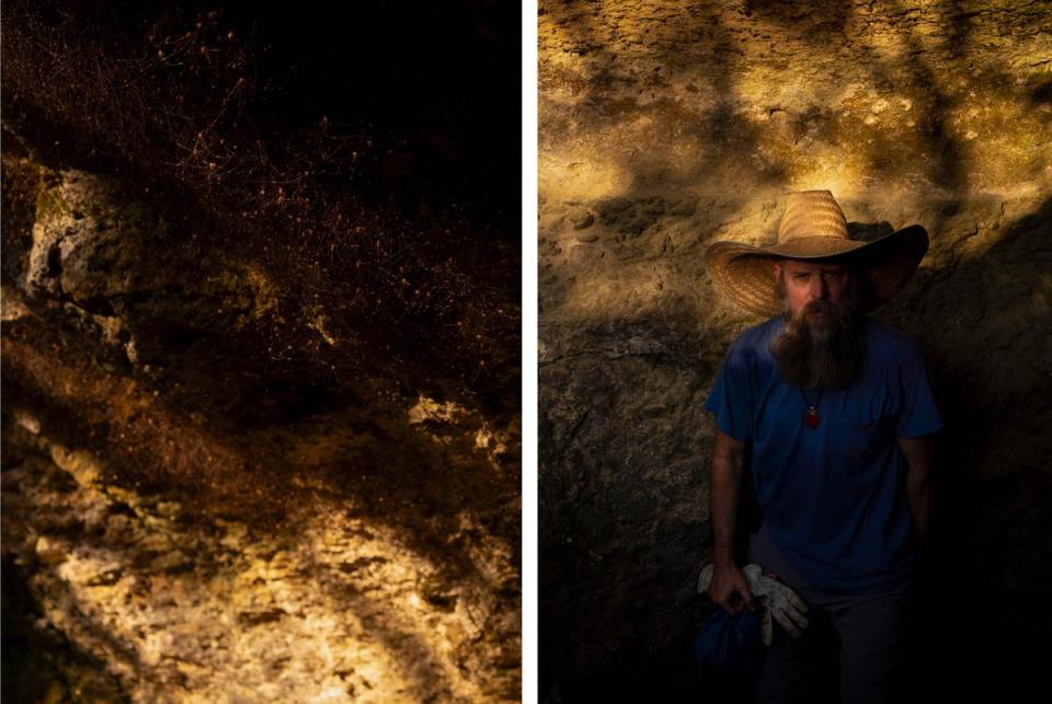 First: Thousands of daddy longlegs crawl on the roof of a cave near the Harrison property in Comal County about halfway between New Braunfels and Bulverde on June 15, 2023. Second: Brandon Kuhn, local cave explorer, walks along caves near the Harrison property in Comal County about halfway between New Braunfels and Bulverde on June 15, 2023. Kuhn is among the residents who raised environmental concerns after Doug Harrison submitted an application for a wastewater treatment plant on his 500-plus-acre plot of land.
