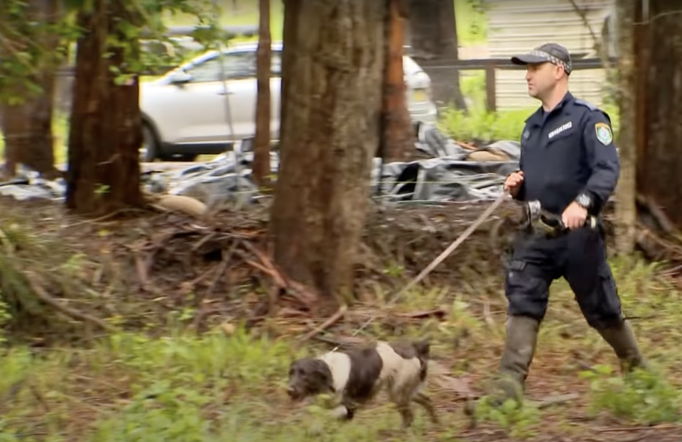 A NSW Police officer with a cadaver dog in Kendall during the search for William Tyrrell.