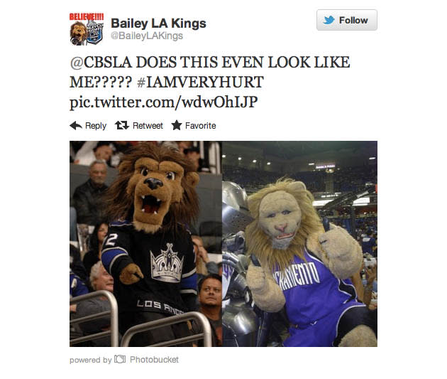 No lion: KCBS angers Bailey, LA Kings mascot, after confusion with Slamson,  Sacramento Kings mascot
