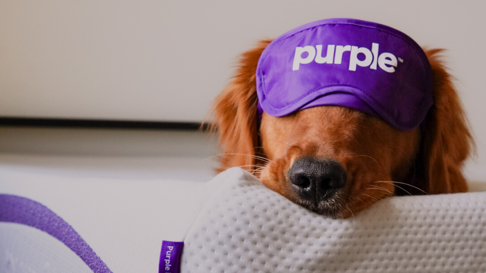 Snag steep savings and a free sheet set when you purchase select Purple mattresses today.