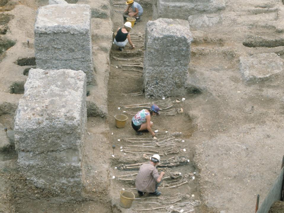 An arial view shows remains buried side by side in the East Smithfield plague pits between 1348 and 1349.