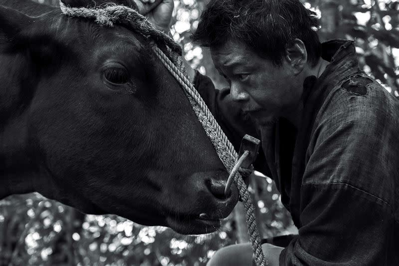 李康生首度擔綱日片男主角的電影《黑之牛》入選東京國際影展。（圖／光年映畫提供）