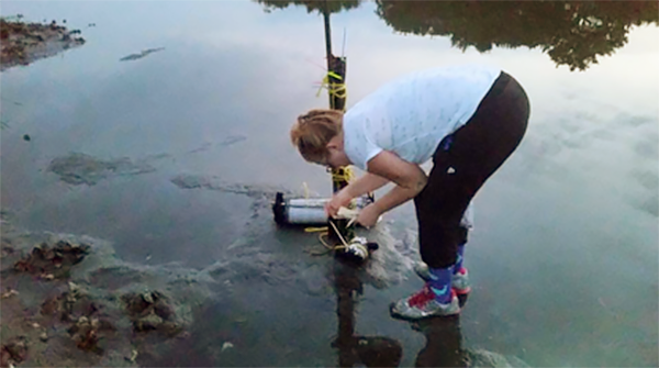 A UNCC doctoral student tests water samples for V. vulnificus at a North Carolina estuary. (Dr. James Oliver)