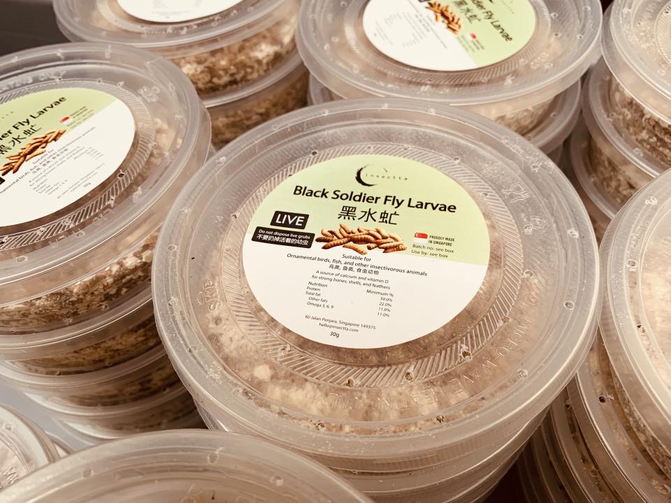 <span> Insectta’s live black soldier fly larvae, ready to be sold as pet feed. (Photo: Teng Yong Ping/Yahoo Lifestyle Singapore)</span>