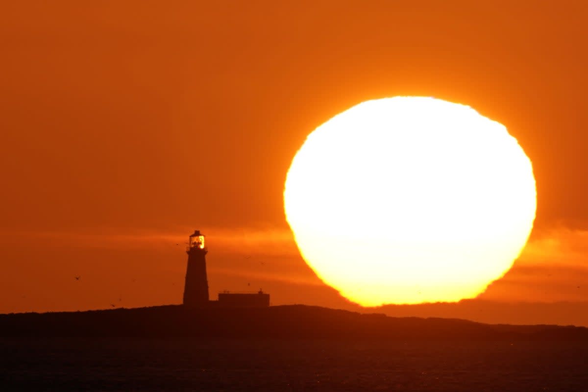 A sequence of heatwaves in July and August led to some of the hottest temperatures ever endured in the UK (Owen Humphreys/PA) (PA Wire)