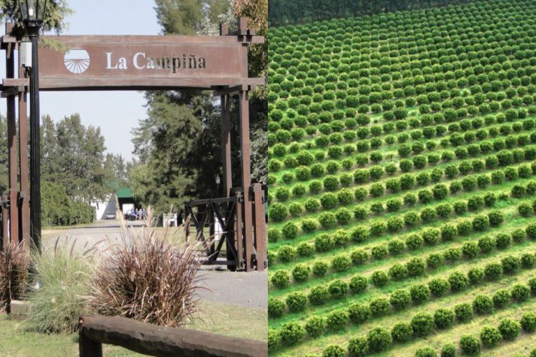 La entrada al emprendimiento y una extensión del campo ubicado en San Pedro, Buenos Aires