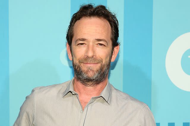 <p>Monica Schipper/WireImage</p> Luke Perry in 2017