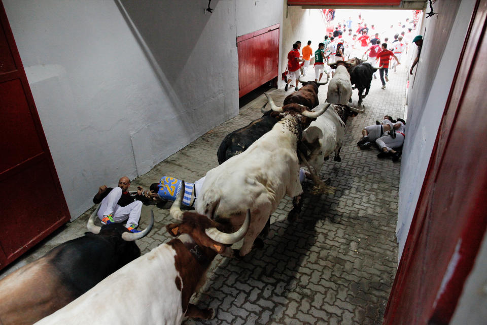 PAMPLONA, SPAIN - JULY 08:  Revellers run with the Tajo and the Reina's fighting bulls entering the bullring during the third day of the San Fermin Running Of The Bulls festival on July 8, 2015 in Pamplona, Spain. The annual Fiesta de San Fermin, made famous by the 1926 novel of US writer Ernest Hemmingway entitled 'The Sun Also Rises', involves the daily running of the bulls through the historic heart of Pamplona to the bull ring.  (Photo by Pablo Blazquez Dominguez/Getty Images)