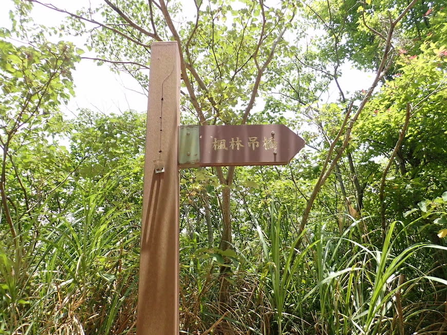 苗栗老崎古道（頭份後花園步道）