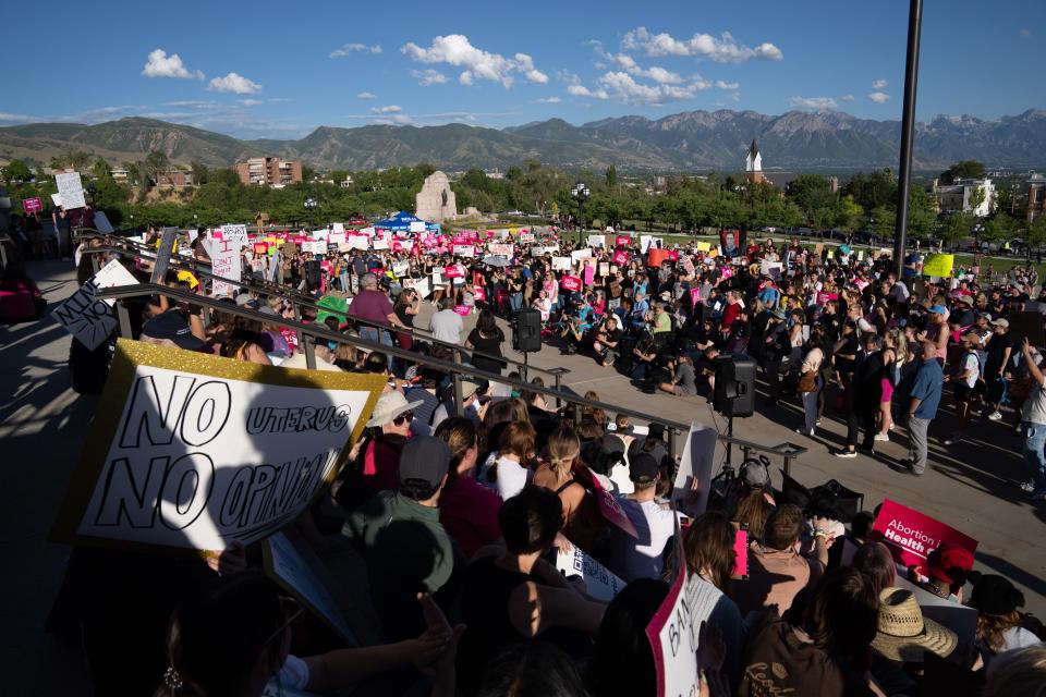 Several hundred protesters are seen with views of the mountains.