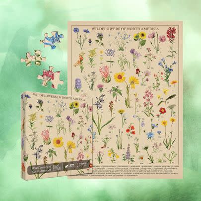 A vintage-style wildflower puzzle