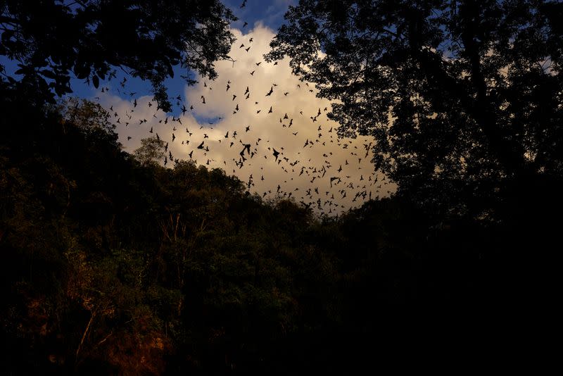 The Wider Image: Collapse, contamination: Mexican scientists sound alarm at Mayan Train