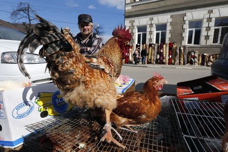 A man sells chickens in a market in Abrud, central Romania March 24, 2014. Picture taken March 24, 2014. REUTERS/Bogdan Cristel