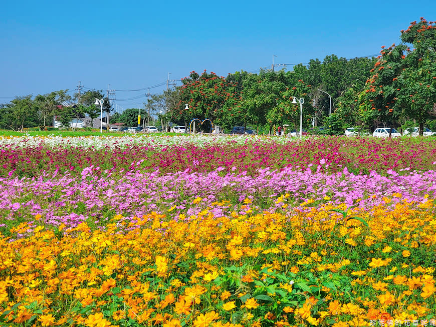 屏東｜新埤鄉綜合休閒公園