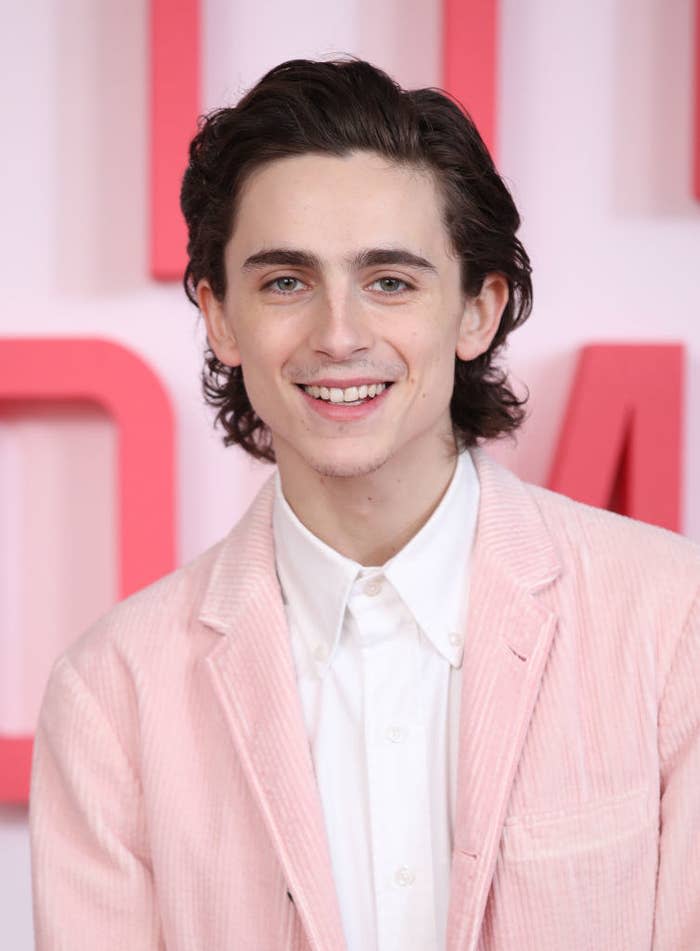 Timothee Chalamet during the "Little Women" photocall