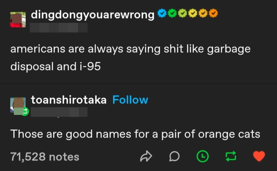 Someone makes fun of Americans saying they always say things like garbage disposal and i-95, and someone says they'd be good names for a pair of orange cats