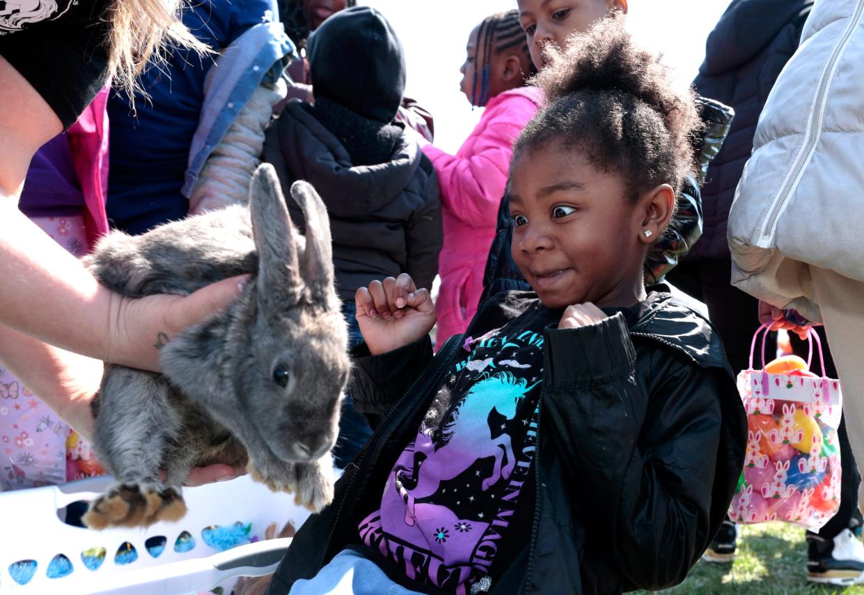 Kelci Harris, 6 of Warren, wasn't so sure about holding a bunny rabbit but eventually did at the petting zoo area at the City of Detroit's General Services Department - Parks and Recreation Division 38th annual Easter Fun Fest at the Heilmann Recreation Center in Detroit on Saturday, April 8, 2023.The crowd with many kids estimated at over 4,000 during the noon to 4 pm event did everything from an Easter egg maze to painting, carnival rides and raffles with a chance to win a bike or an Easter basket.