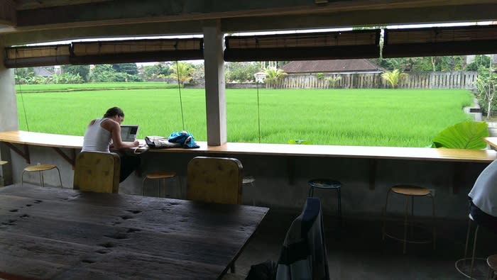 Best view: Working with this kind of view of rice fields is how many people would describe a dream job. (