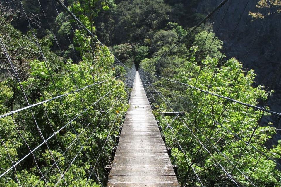 新竹霞喀羅古道的白石吊橋，驚傳夫妻健行失足墜落。（翻攝自林務局網站）