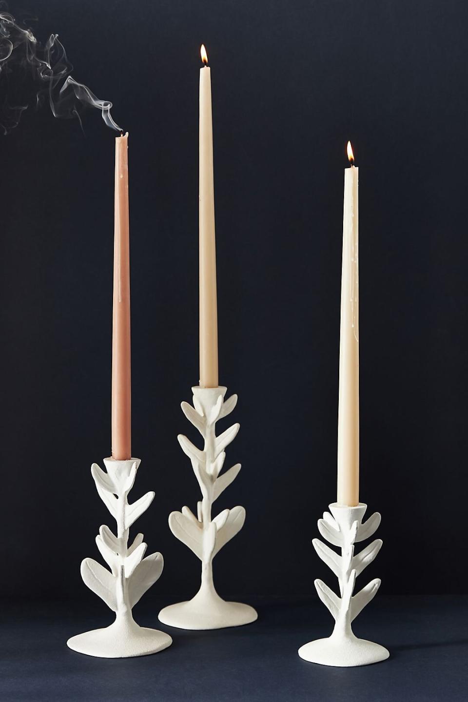 Flora Taper Candle Holder