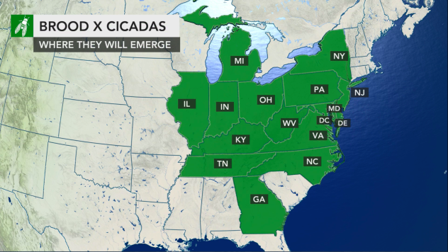 BROOD X CICADAS map