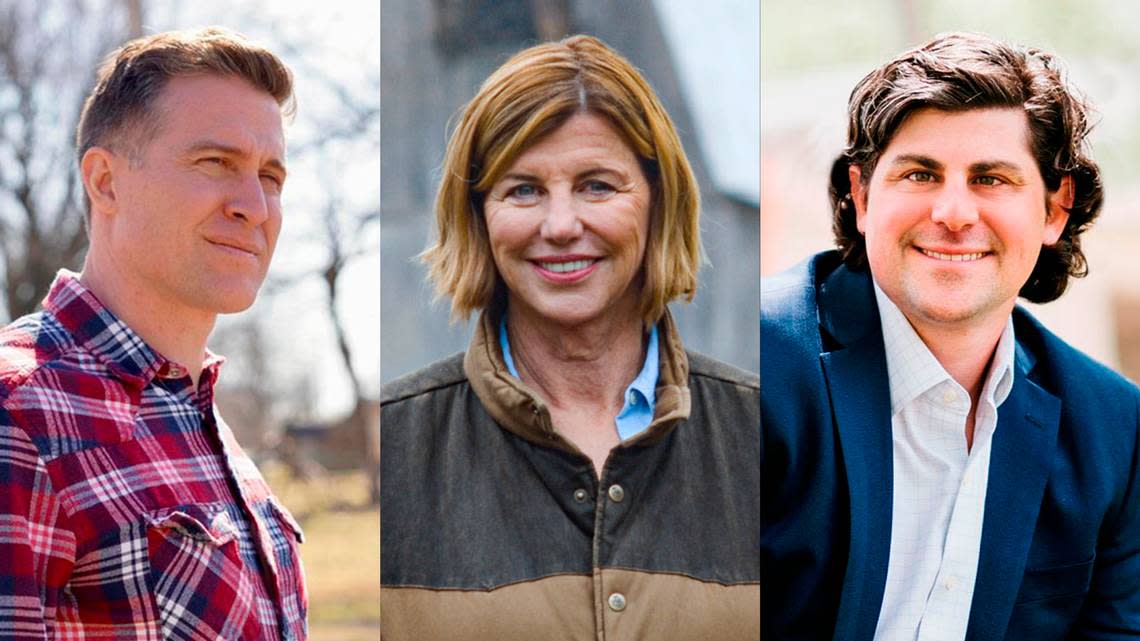 These are the candidates running for the Missouri U.S. Senate seat in the Democratic primary race. From left: Lucas Kunce, Trudy Busch Valentine and Spencer Toder.