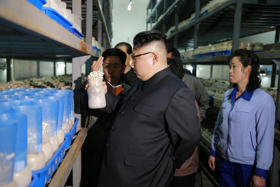 North Korean Leader Kim Jong Un gives field guidance to the Pyongyang mushroom factory in this undated photo released by North Korea's Korean Central News Agency (KCNA) in Pyongyang on April 8, 2017. KCNA/via REUTERS ATTENTION EDITORS - THIS IMAGE WAS PROVIDED BY A THIRD PARTY. EDITORIAL USE ONLY. REUTERS IS UNABLE TO INDEPENDENTLY VERIFY THIS IMAGE. SOUTH KOREA OUT. NO THIRD PARTY SALES. NOT FOR USE BY REUTERS THIRD PARTY DISTRIBUTORS. TPX IMAGES OF THE DAY