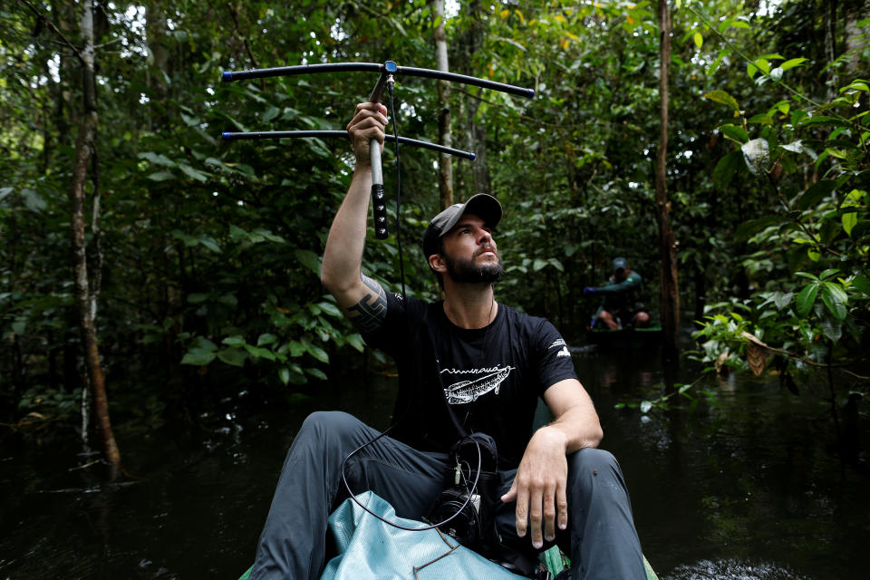 <p>Lead researcher Emiliano Esterci Ramalho from the Mamiraua Institute uses a radio device to locate jaguars at the Mamiraua Sustainable Development Reserve in Uarini, Amazonas state, Brazil, May 30, 2017. (Photo: Bruno Kelly/Reuters) </p>